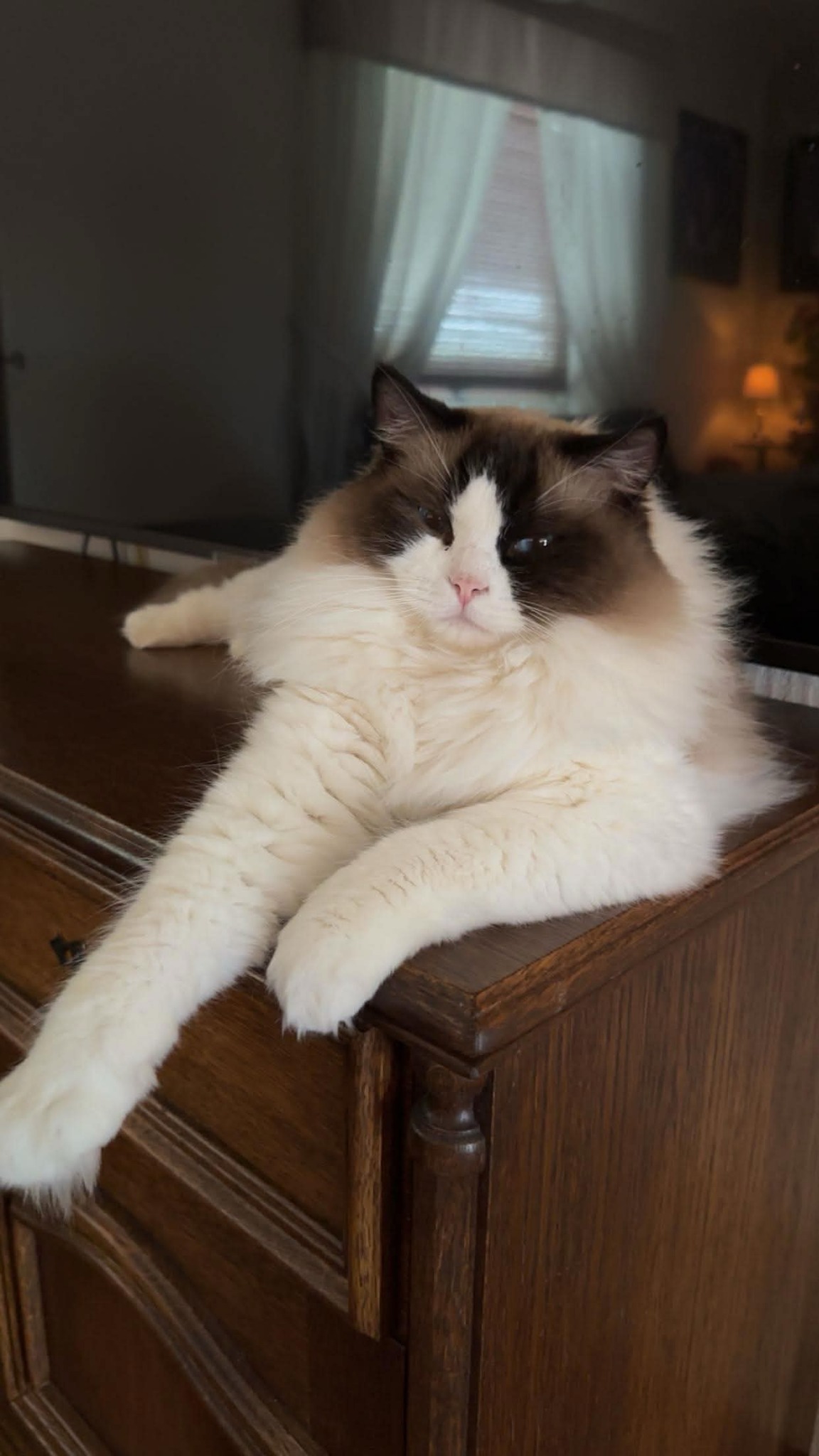 SILAS